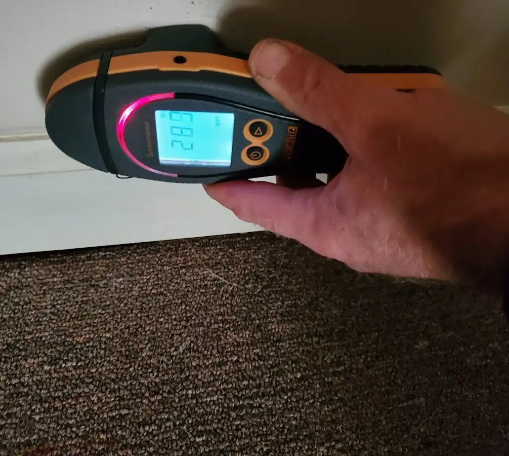 Moisture detection at baseboard during Mold Inspection & Testing in Fairview